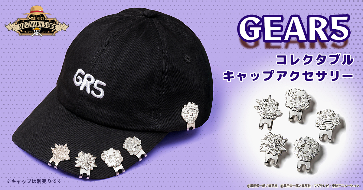 GEAR5�@�R���N�^�u���L���b�v�A�N�Z�T���[