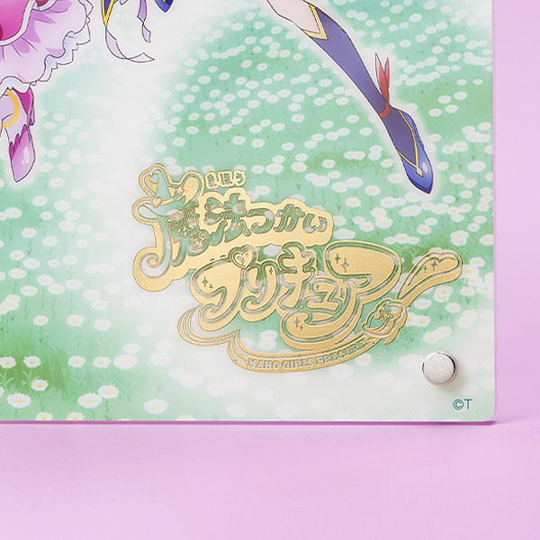 �y���@�����v���L���A�I�z10th Anniversary �v���L���Aver. �A�N�����A�[�g�{�[�h