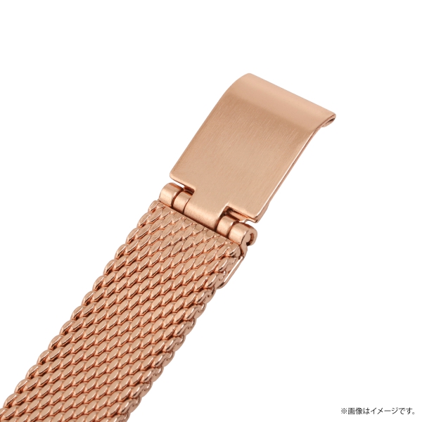 �y�����s�[�X�zPetit Bloom �r���v