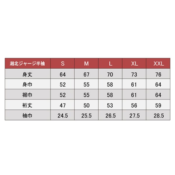 ySzTHE FIRST SLAM DUNK ÖkW[W 