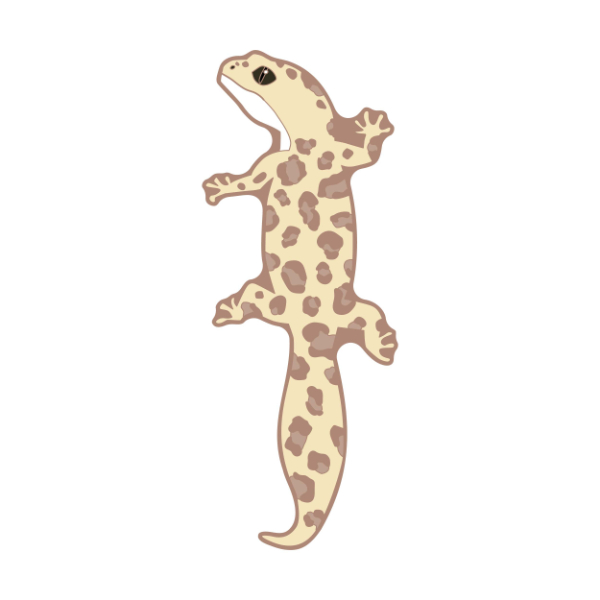 �y�K�[���Y�o���h�N���C�z�}�O�l�b�g�t�b�N �C�V�˒q�i��l�����ہj