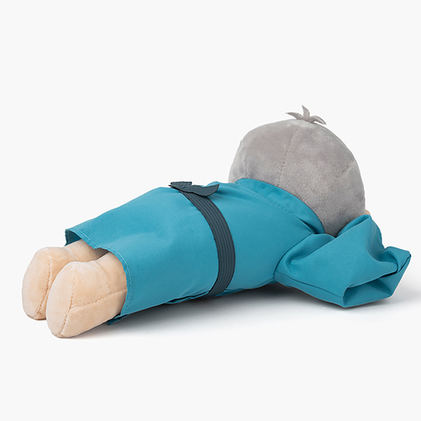 ySYa QQQ̓z˂邩̂ʂ݁iSY̕j