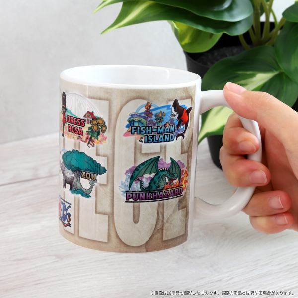 �y�����s�[�X�zONE PIECE �X�[�x�j�A�}�O�J�b�v After 2 years