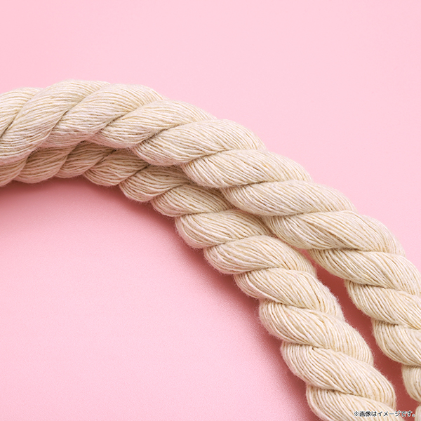 ys[XzMERRY&SUNNY "GO" ROUND! }`t[vg[g