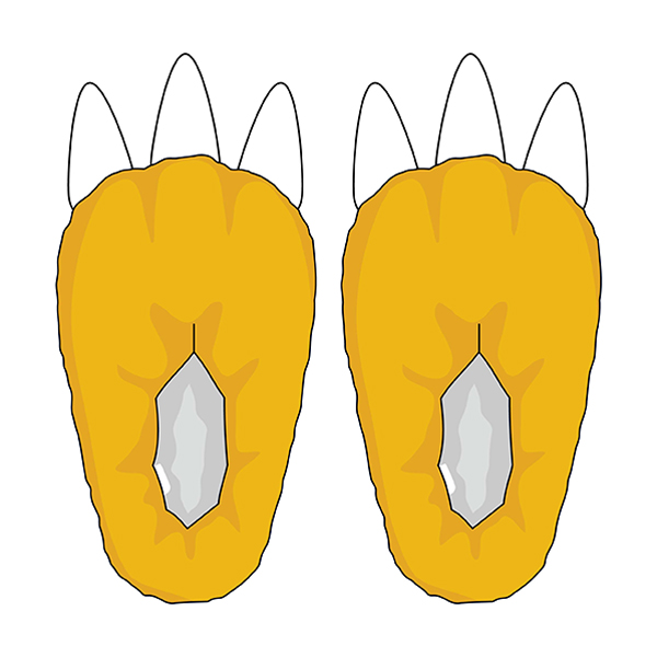 �y�f�W�����A�h�x���`���[�z���� �A�O�����i2026�N�j