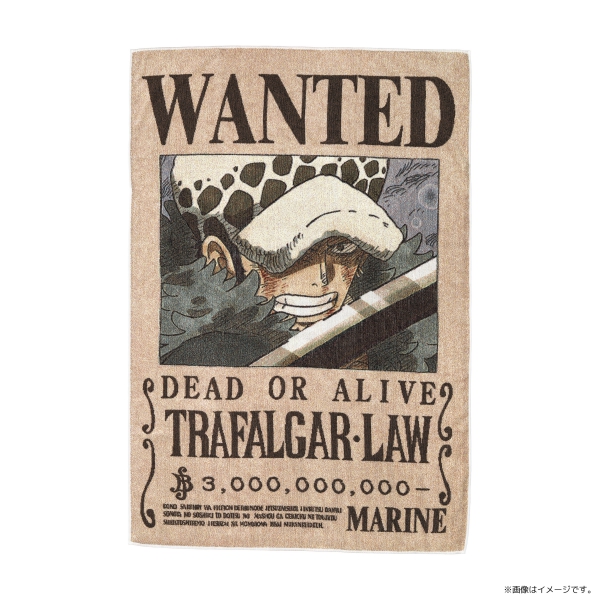 【ワンピース】五彩織り ビッグタオル ＜手配書＞ ワンピース】五彩織り ビッグタオル ＜手配書＞: 雑貨｜東映