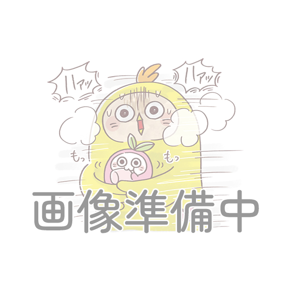 ONE PIECE Egghead Arc Key Visual Metallic Clear File