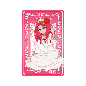 プリキュアシリーズ】プリティストア出張店2025inOIOI クリアカード