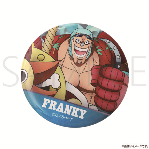 ワンピース】MERRY&SUNNY 