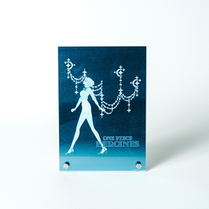【ワンピース】『ONE PIECE HEROINES』キラキラアクリルパネル C