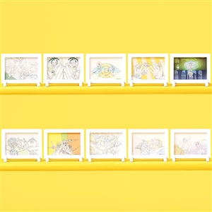 �y�����s�[�X�z�wONE PIECE ANIMATION WORKS�x�G���o�t�� OP�^�g���[�f�B���O�t���[���}�O�l�b�g�i�S10�탉���_��1����j