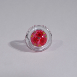 �yprecure genic�zMIZUGASHI �����O �L���A�u���[��