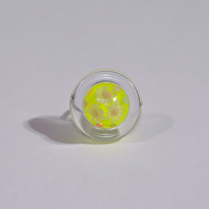 �yprecure genic�zMIZUGASHI �����O �L���A�����l�[�h